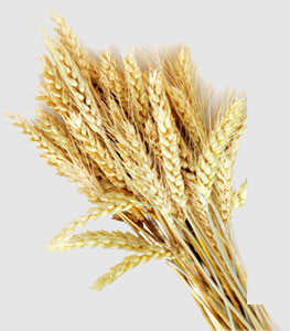 首页|尊龙人生就是博官网入口