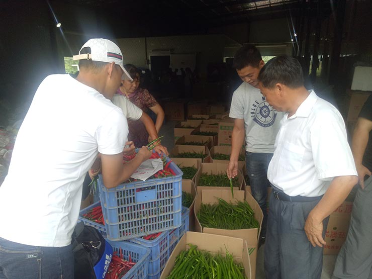 首页|尊龙人生就是博官网入口