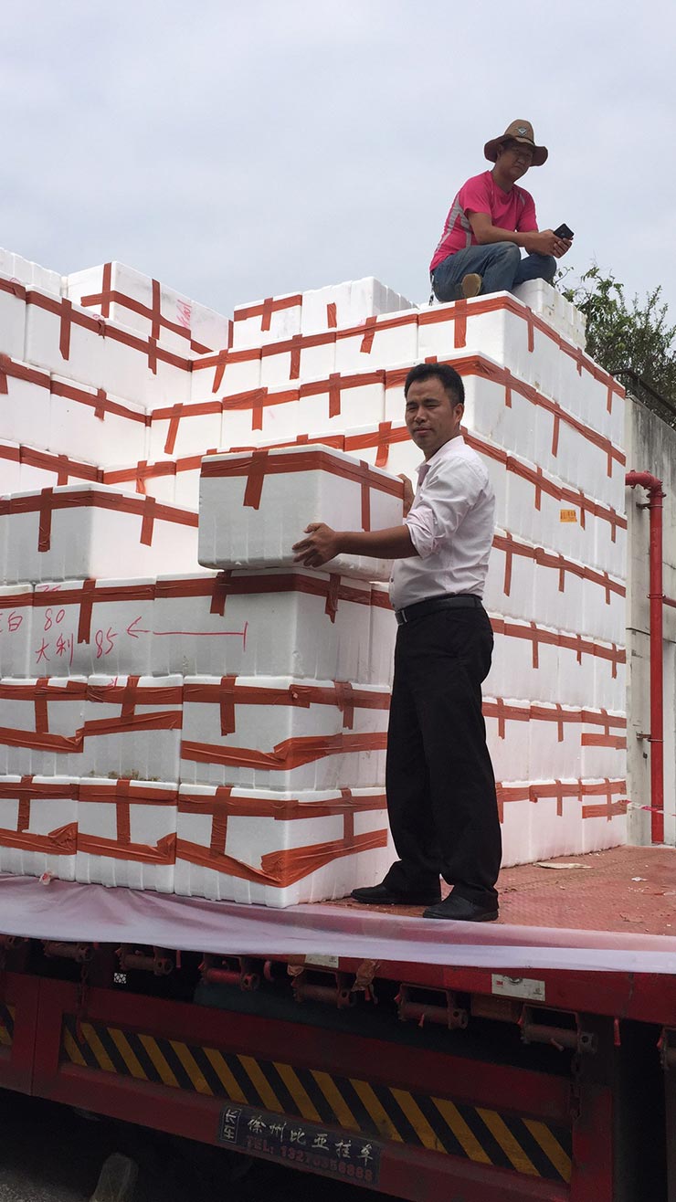 首页|尊龙人生就是博官网入口