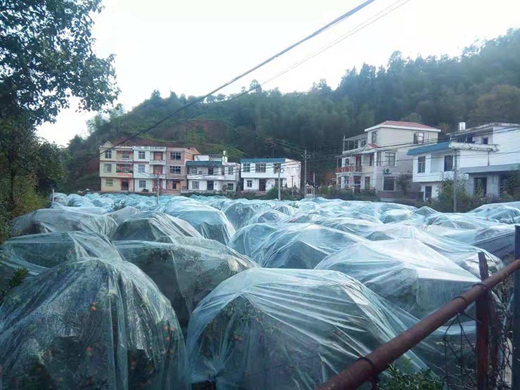 首页|尊龙人生就是博官网入口