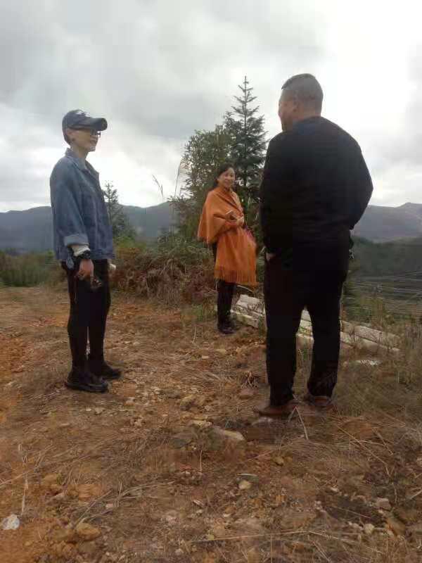 首页|尊龙人生就是博官网入口