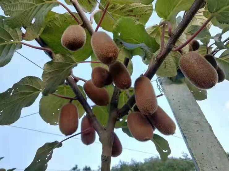 首页|尊龙人生就是博官网入口