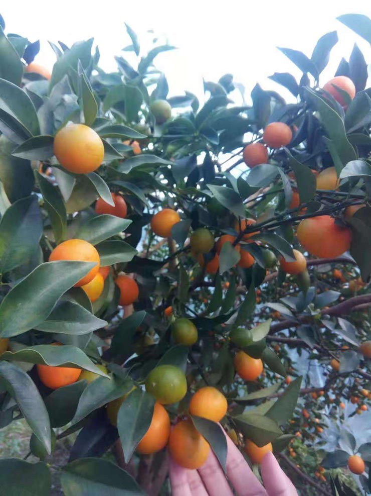 首页|尊龙人生就是博官网入口