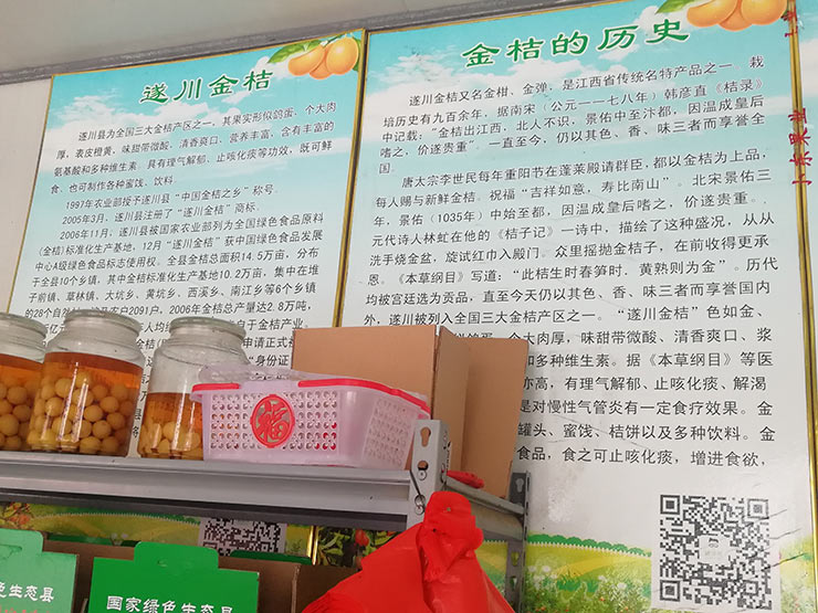 首页|尊龙人生就是博官网入口