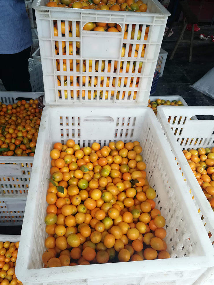 首页|尊龙人生就是博官网入口