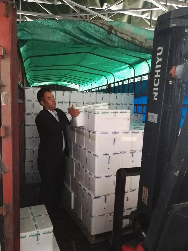 首页|尊龙人生就是博官网入口