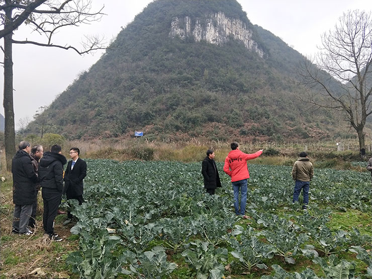 首页|尊龙人生就是博官网入口