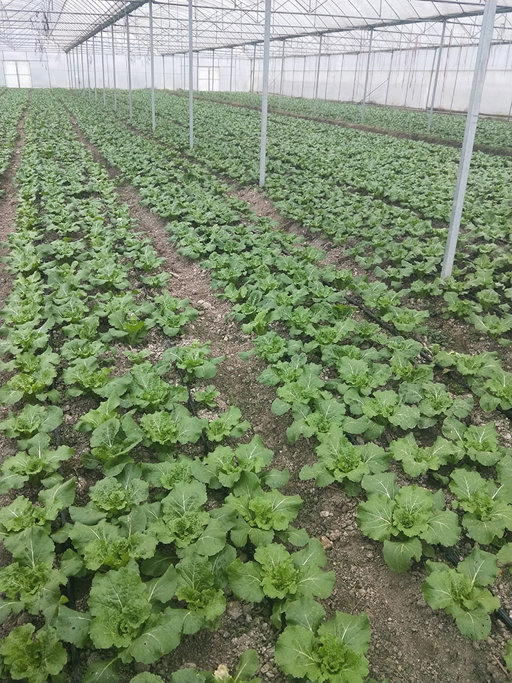 首页|尊龙人生就是博官网入口