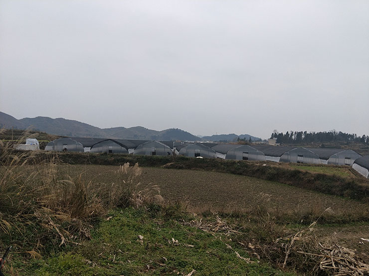 首页|尊龙人生就是博官网入口