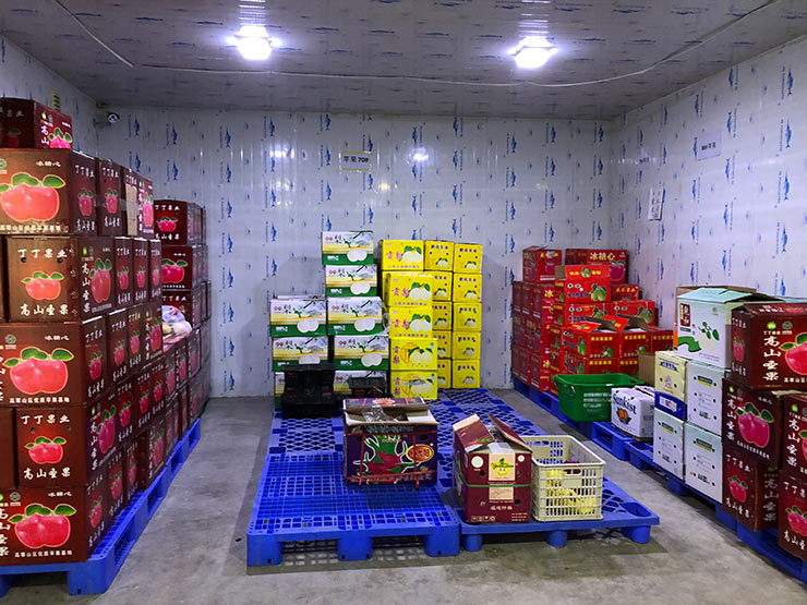 首页|尊龙人生就是博官网入口