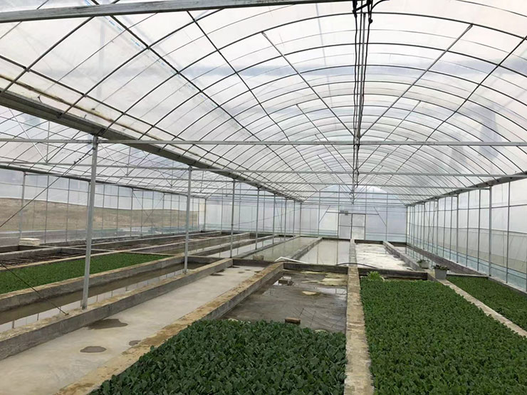 首页|尊龙人生就是博官网入口