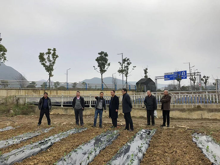 首页|尊龙人生就是博官网入口