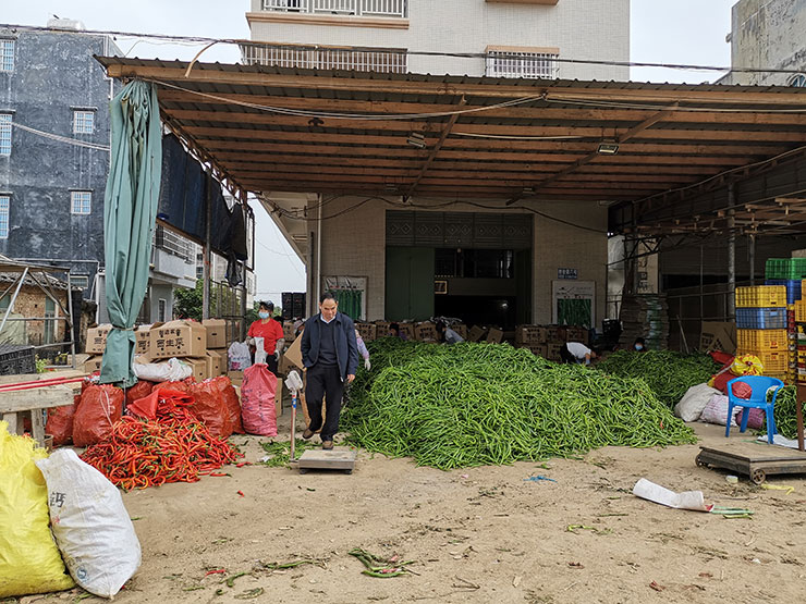 首页|尊龙人生就是博官网入口
