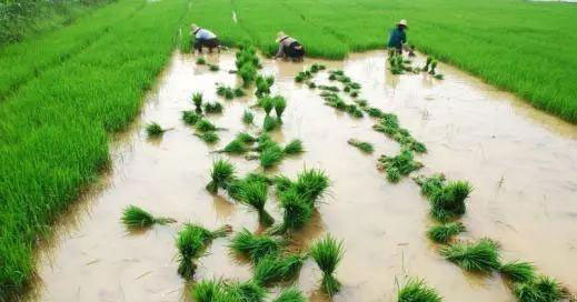首页|尊龙人生就是博官网入口