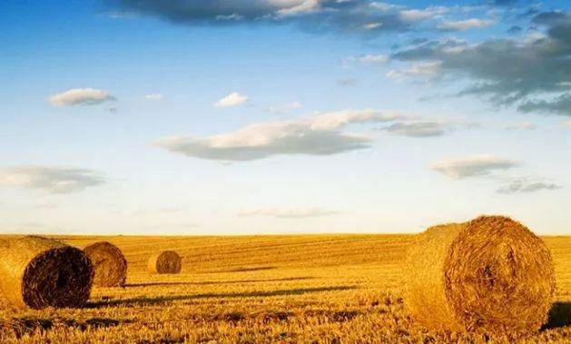 首页|尊龙人生就是博官网入口