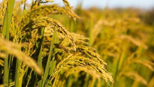 首页|尊龙人生就是博官网入口