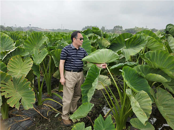 首页|尊龙人生就是博官网入口