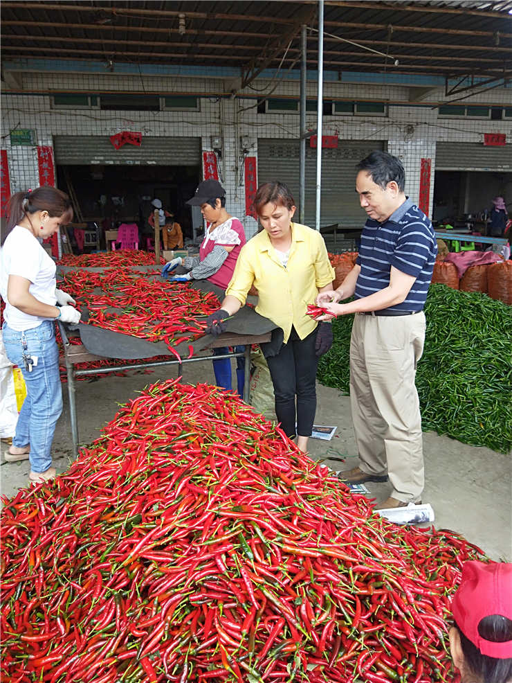 首页|尊龙人生就是博官网入口