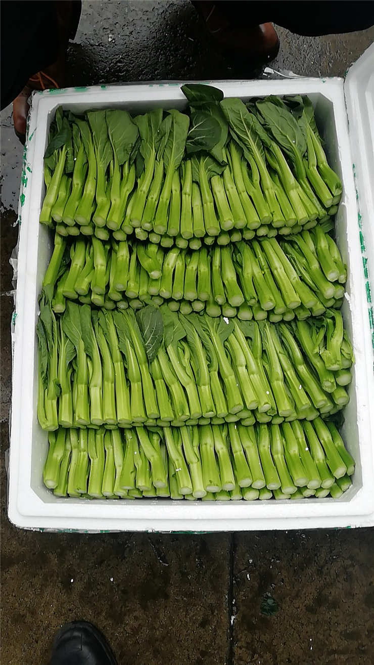 首页|尊龙人生就是博官网入口