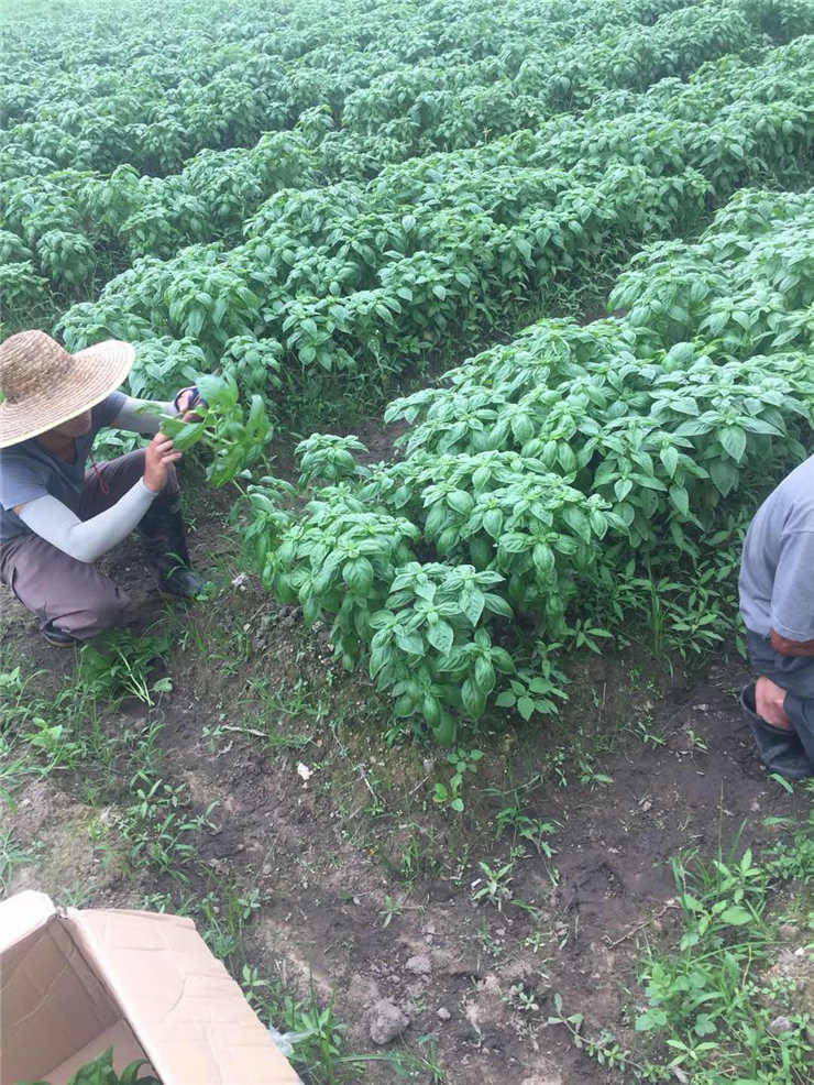 首页|尊龙人生就是博官网入口