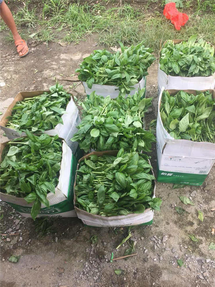 首页|尊龙人生就是博官网入口