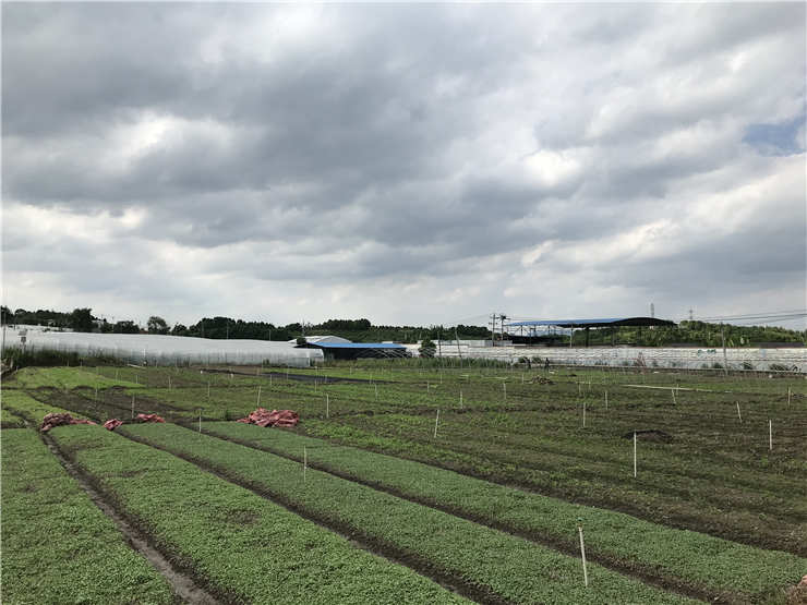 首页|尊龙人生就是博官网入口