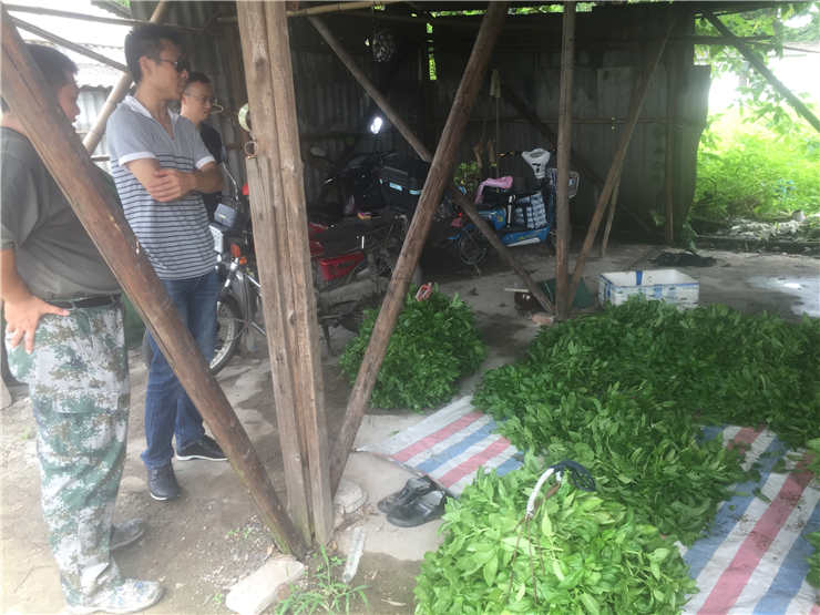 首页|尊龙人生就是博官网入口