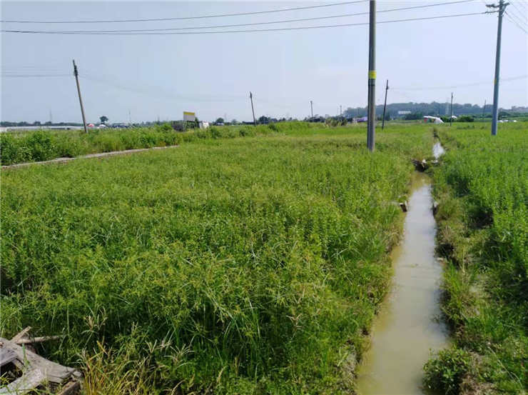 首页|尊龙人生就是博官网入口