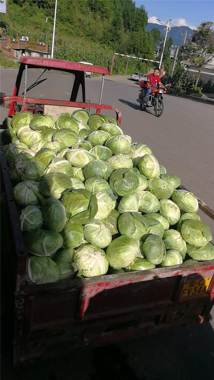 首页|尊龙人生就是博官网入口