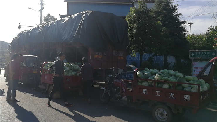 首页|尊龙人生就是博官网入口