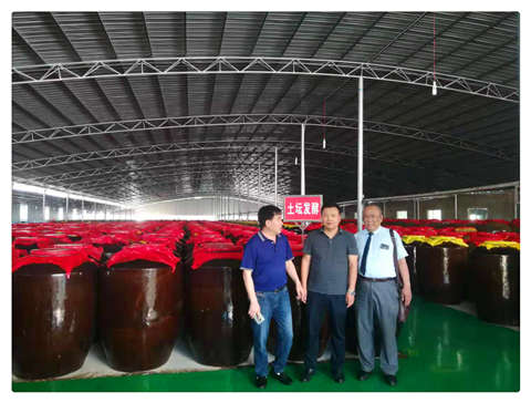 首页|尊龙人生就是博官网入口