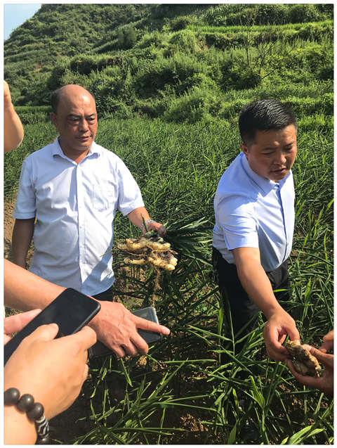 首页|尊龙人生就是博官网入口