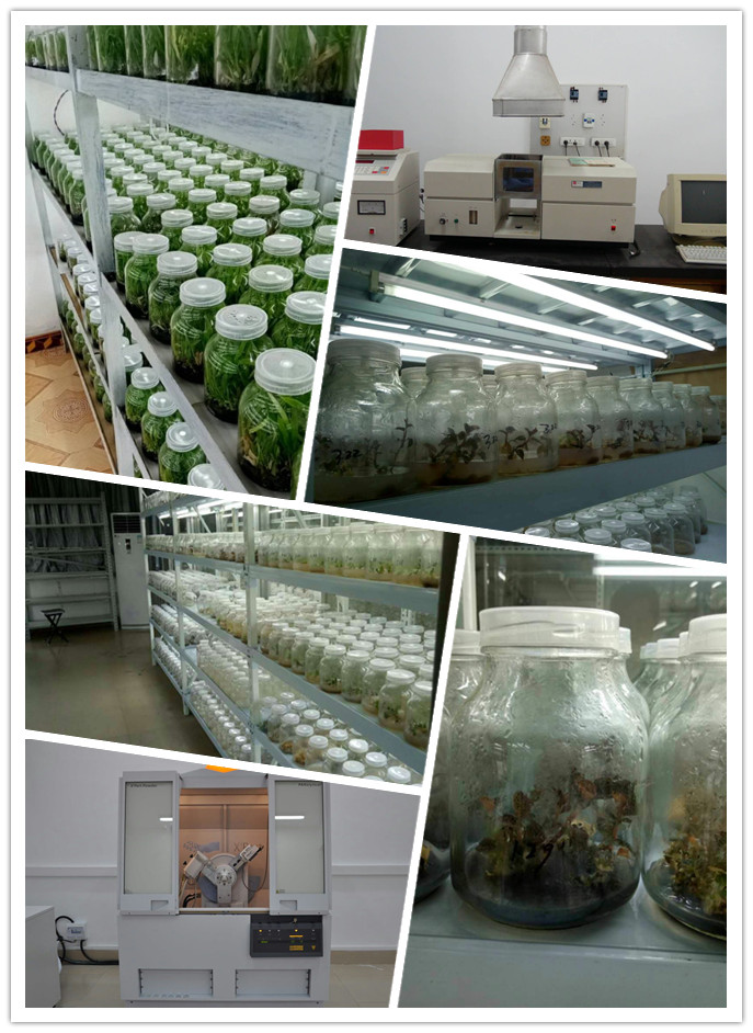 首页|尊龙人生就是博官网入口