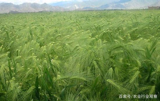 首页|尊龙人生就是博官网入口