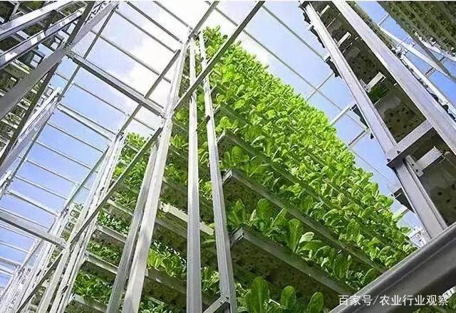 首页|尊龙人生就是博官网入口