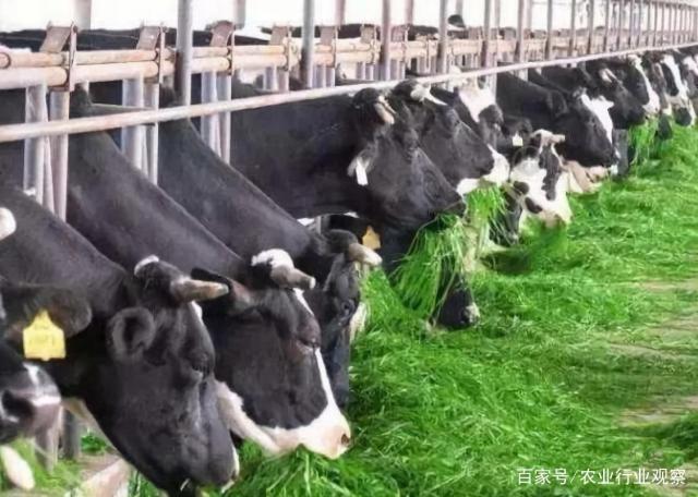 首页|尊龙人生就是博官网入口