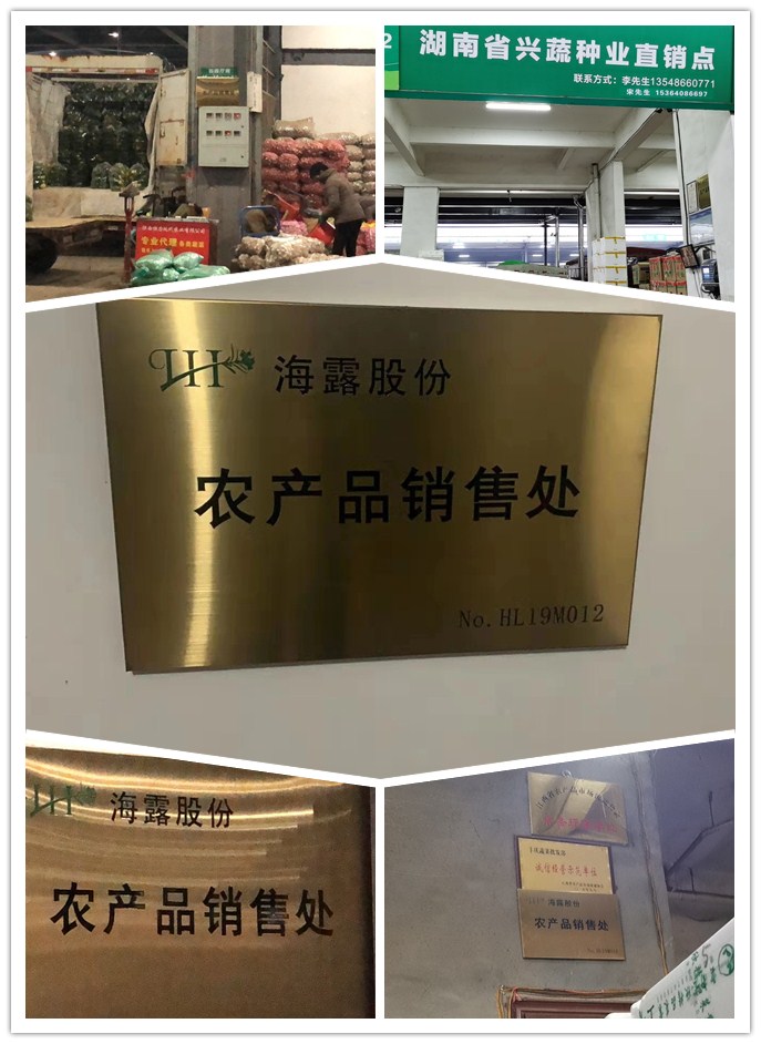 首页|尊龙人生就是博官网入口