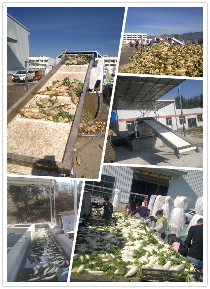 首页|尊龙人生就是博官网入口