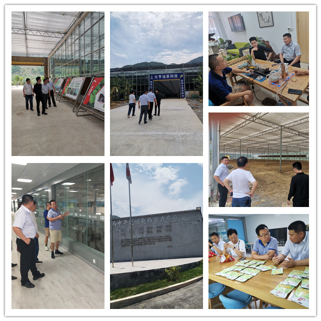 首页|尊龙人生就是博官网入口