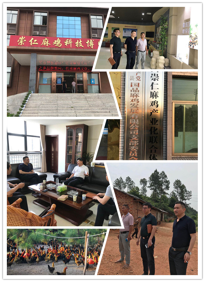 首页|尊龙人生就是博官网入口