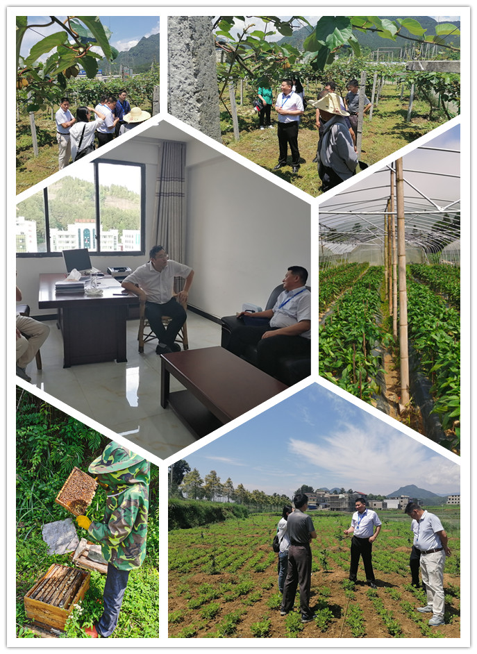 首页|尊龙人生就是博官网入口