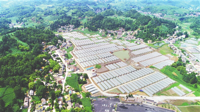 首页|尊龙人生就是博官网入口