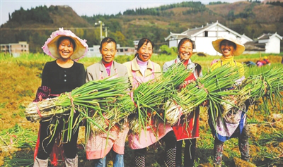 首页|尊龙人生就是博官网入口