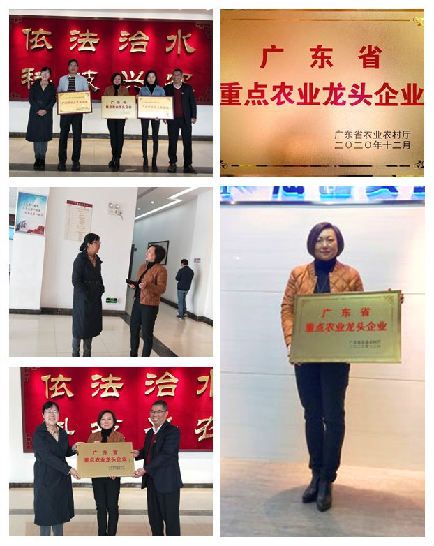 首页|尊龙人生就是博官网入口