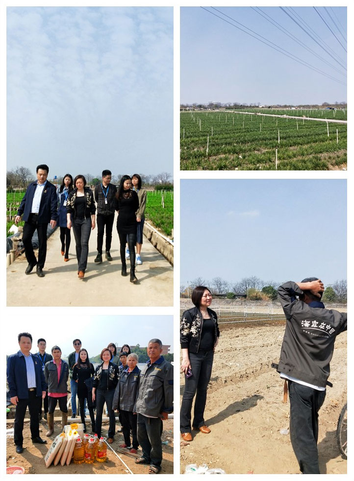 首页|尊龙人生就是博官网入口