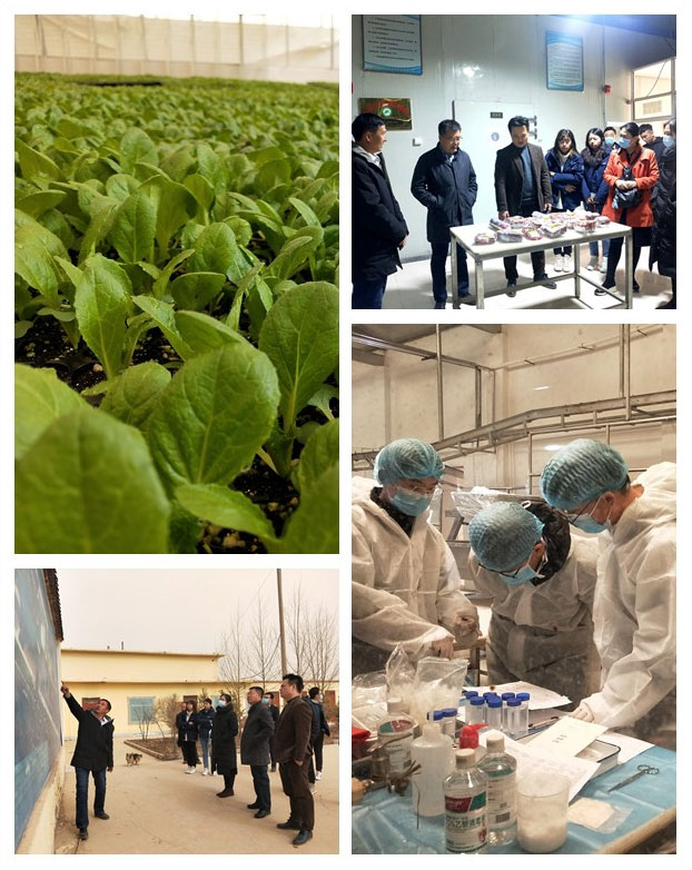 首页|尊龙人生就是博官网入口