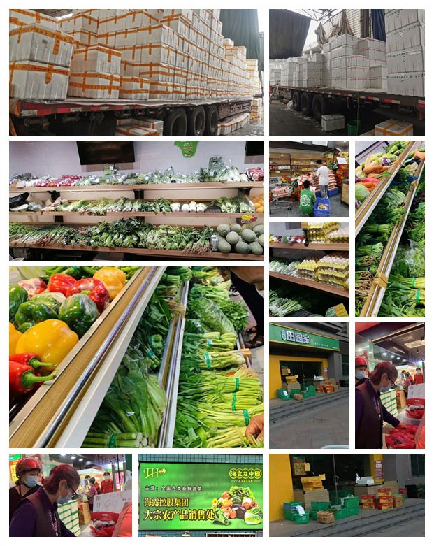 首页|尊龙人生就是博官网入口