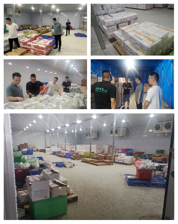 首页|尊龙人生就是博官网入口