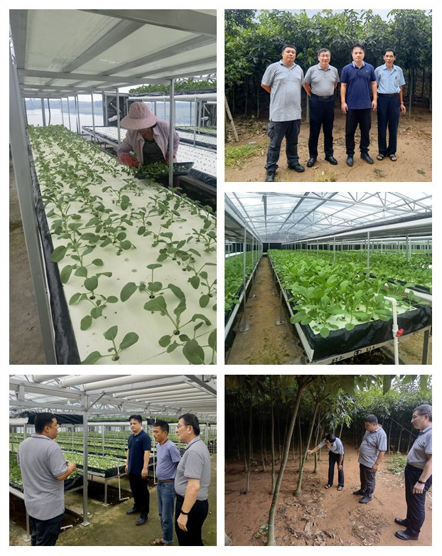 首页|尊龙人生就是博官网入口