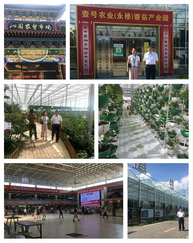 首页|尊龙人生就是博官网入口